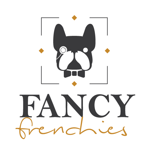 ABOUT US | Fancy Frenchies